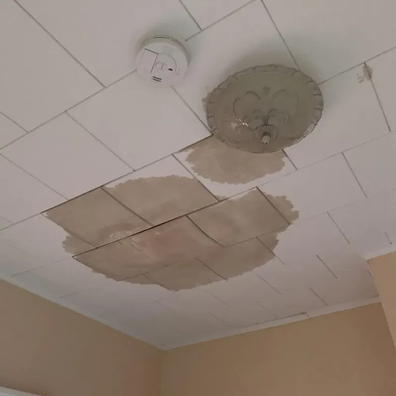 Ceiling Water Damage Repair in Coleman County, TX