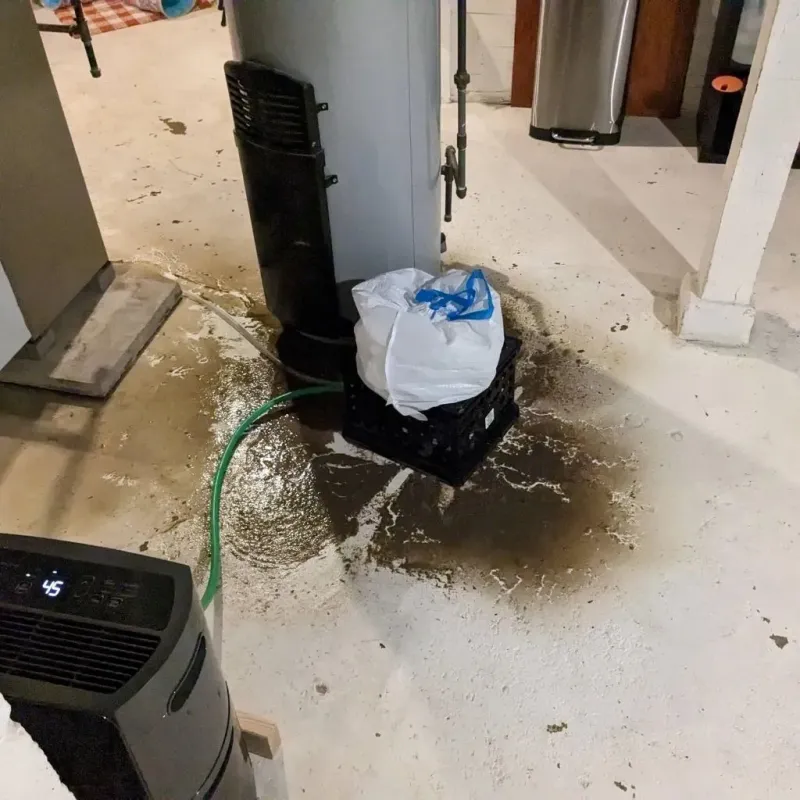 Sewage Backup Cleanup Service in Coleman County, TX